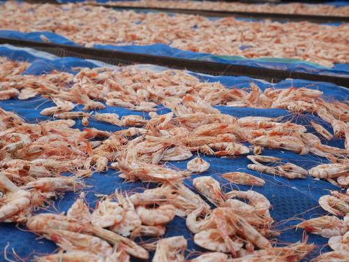 กุ้งแห้ง
