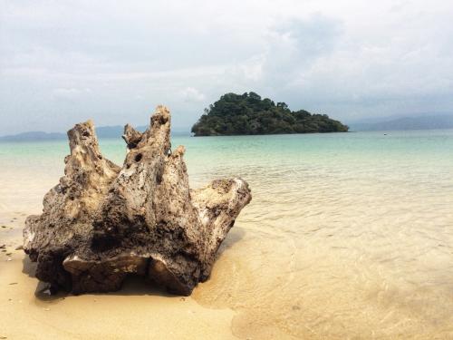 เกาะญี่ปุ่น 