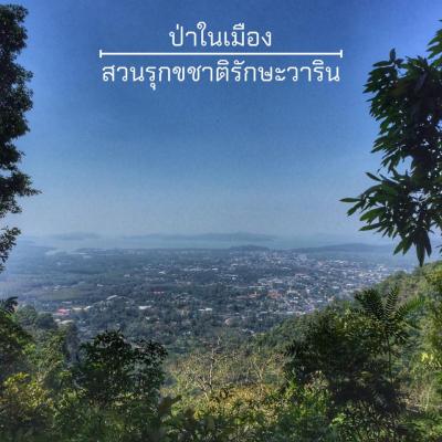 เส้นทางศึกษาธรรมชาติ กลางเมืองระนอง 